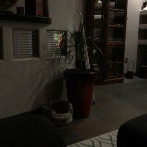 Meet your Posher, Karmen